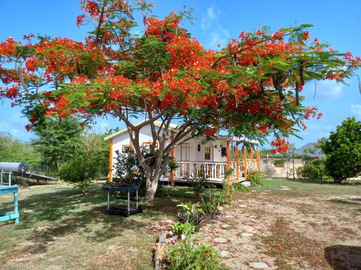 Bungalow Au Soleil Saint-Francois  Eksteriør bilde
